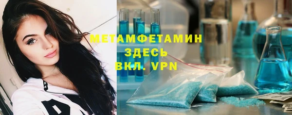 прущие грибы Балабаново