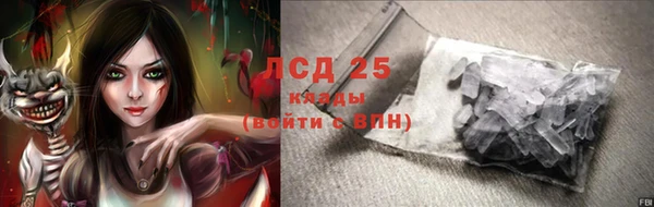 прущие грибы Балабаново