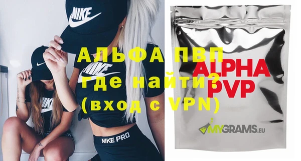 прущие грибы Балабаново
