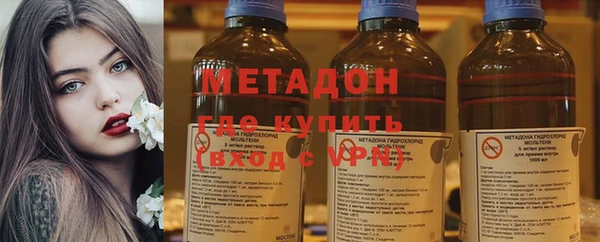 прущие грибы Балабаново