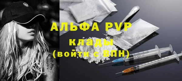 прущие грибы Балабаново
