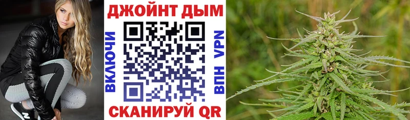 Конопля гибрид  Белинский 